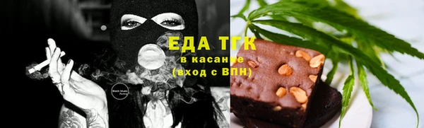 PSILOCYBIN Каменка
