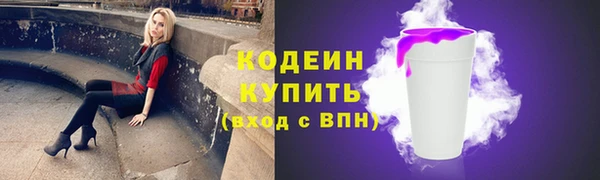 PSILOCYBIN Каменка