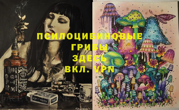 MDMA Premium VHQ Каменногорск