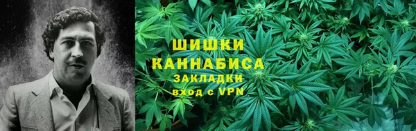 PSILOCYBIN Каменка