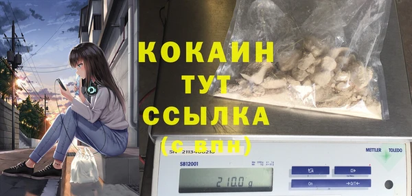 PSILOCYBIN Каменка