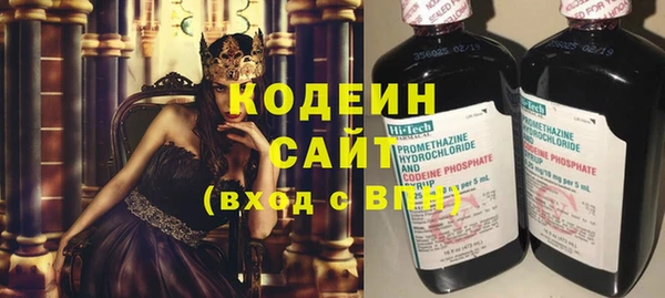 PSILOCYBIN Каменка