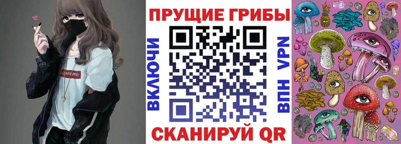 Псилоцибиновые грибы прущие грибы  Яблоновский 